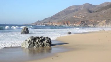 Dalgalar kıyıya garrapata devlet kumsalda gel