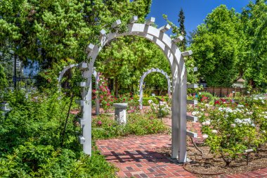 İngilizce gül bahçesi