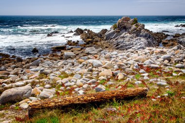 asilomar devlet beach 