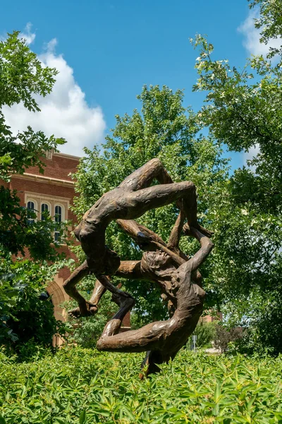 Eau Claire Juli 2022 Milieubronzen Sculptuur Aan Universiteit Van Wisconsin — Stockfoto
