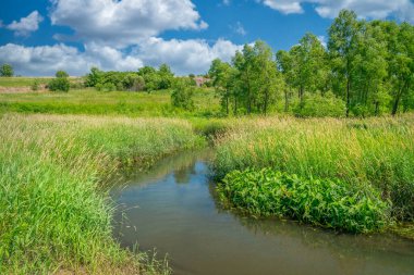 Blue Mounds Eyalet Parkı, Minnesota 'daki Mound Creek.