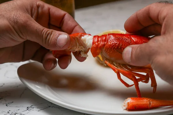 Vers Kreeftenvoer Rode Kreeft Diner Zeevruchten Gastronomisch Voedsel Gezond Gekookte — Stockfoto