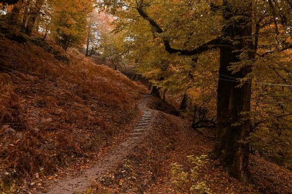 Beautiful Nature Landscape Pictures Hiking — Stock Photo, Image