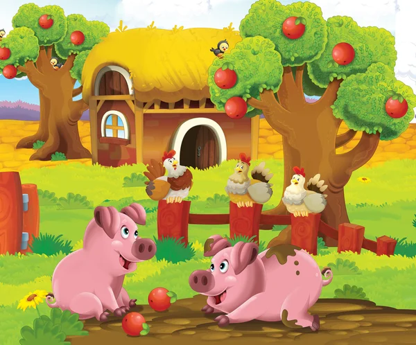 Cerdos en el patio de la granja — Foto de Stock