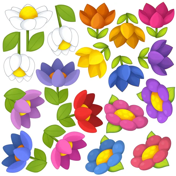 Birçok farklı çiçek — Stok fotoğraf