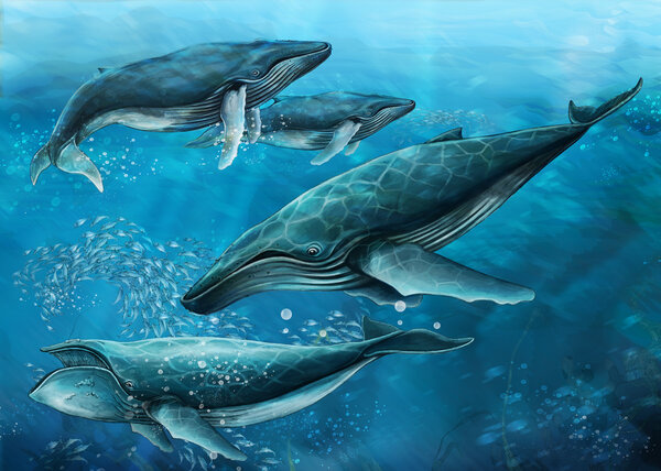 Las ballenas — Foto de Stock