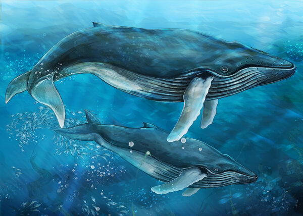Ballenas — Foto de Stock