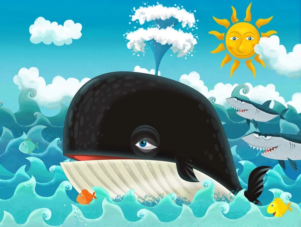 Cartoon whale — Stock Photo, Image