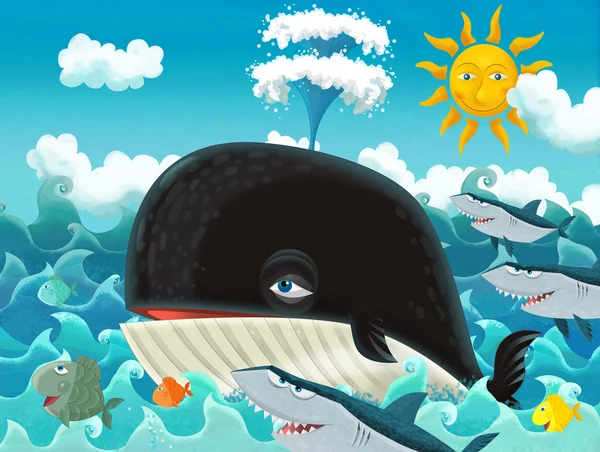 Kreslený velryba — Stock fotografie