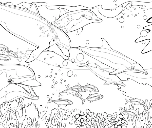 De kleurboek - dolfijnen - coral reef - illustratie voor de kinderen Stockfoto