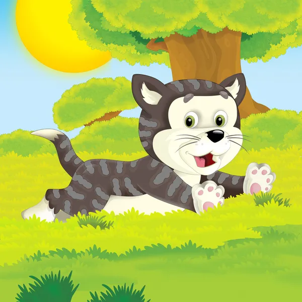 Il gatto dei cartoni animati fattoria — Foto Stock