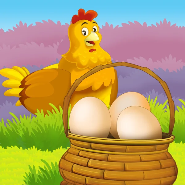A galinha está à procura de ovos. — Fotografia de Stock