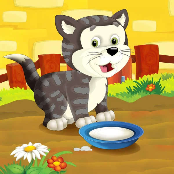 The farm cartoon cat — Stock Photo, Image