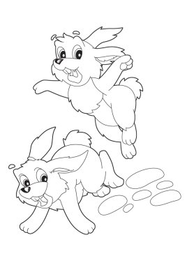 tavşan çalıştıran