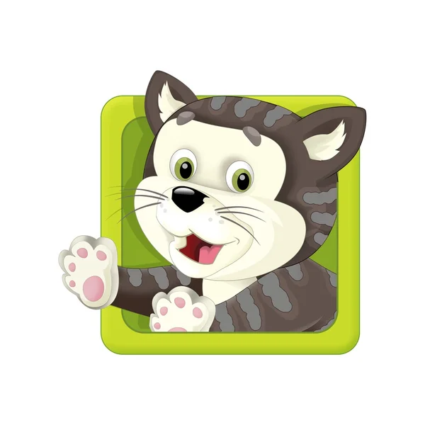 Roztomilý kočka šedá ikona — Stock fotografie