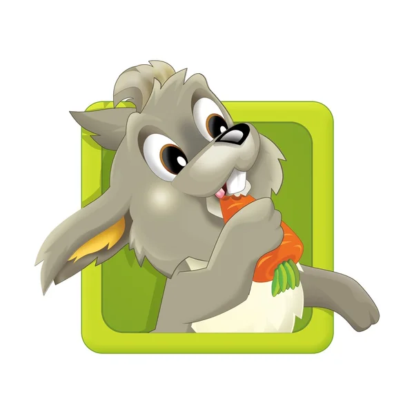 Roztomilá ikona králíka — Stock fotografie