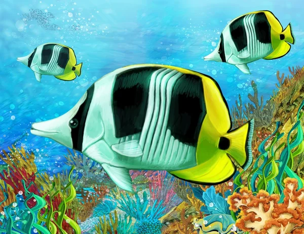 Кораловий риф - ілюстрація для дітей — стокове фото