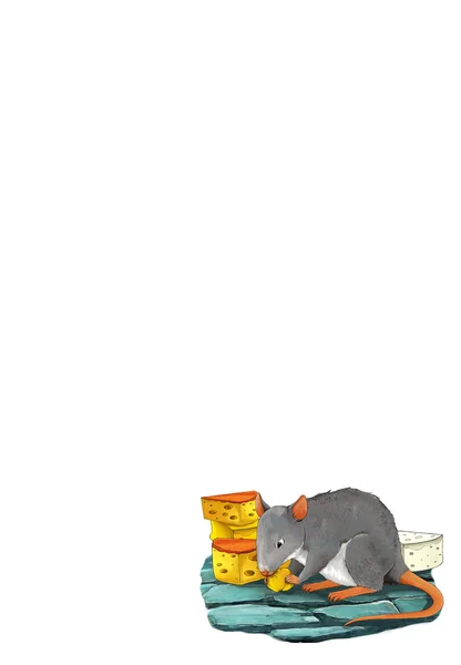 Крыса ест сыр — стоковое фото