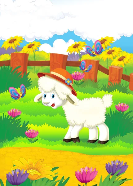 Dibujos animados ilustración con ovejas en la granja —  Fotos de Stock