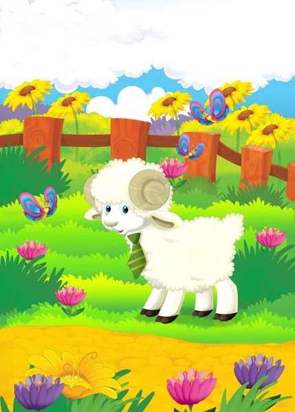 Cartoon illustration with sheep on the farm — Stock Photo, Image