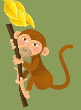 karikatür maymun - bananas maymun