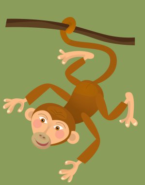 maymun cartoon - maymun