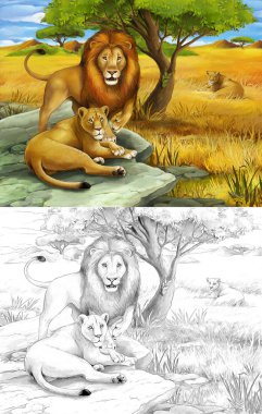 safari - aslan - sayfa - illüstrasyon çocuklar için boyama