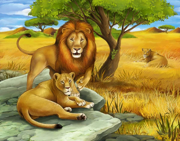 Safari - lions - illustration for the children — Stock Photo, Image