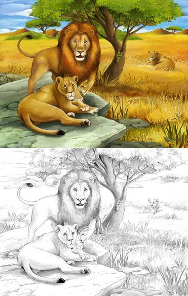 Safari - leoni - pagina da colorare - illustrazione per bambini — Foto Stock