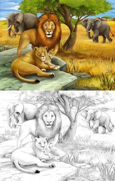 Safari - leoni ed elefanti - pagina da colorare - illustrazione per i bambini — Foto Stock