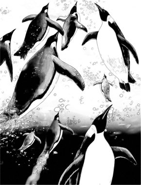 mercan - çizim çocuklar için