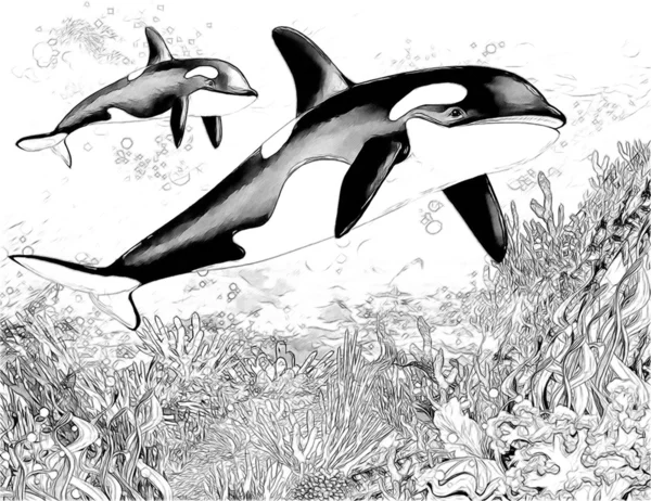 Korálový útes - ilustrace pro děti — Stock fotografie