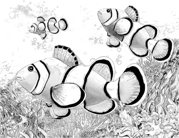 Coral reef - illustration for the children — Stock Photo, Image