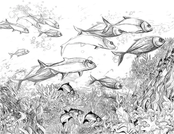 Korallrev - illustrasjon til barna – stockfoto