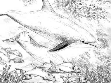 mercan - çizim çocuklar için