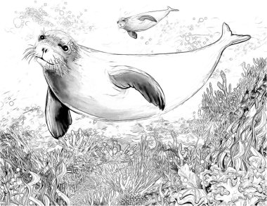 mercan - çizim çocuklar için