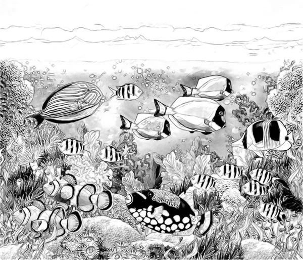 Coral reef - illustration for the children — Stock Photo, Image