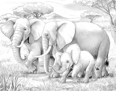 safari - filler - sayfa-çizim çocuklar için boyama