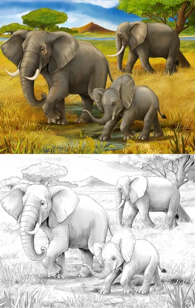 Safari - elephants - coloring page - illustration for the children — Stock Photo, Image