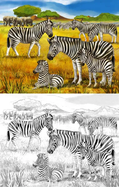 Safari - zebras e elefantes - página de colorir - ilustração para as crianças — Fotografia de Stock