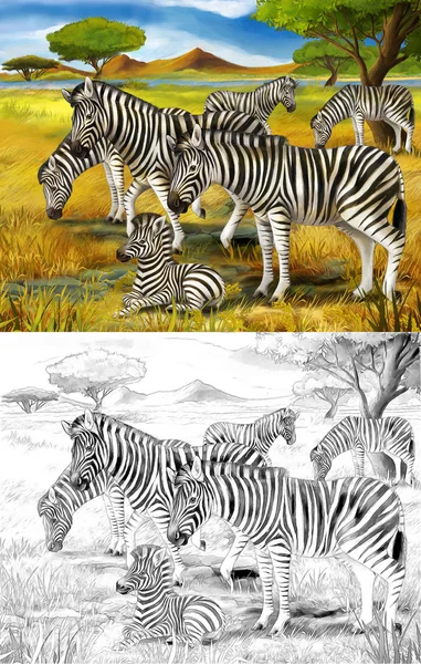 Safari - zebry - barevné stránky - ilustrace pro děti — Stock fotografie