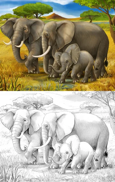 Safari - elephants - coloring page - illustration for the children — Stock Photo, Image