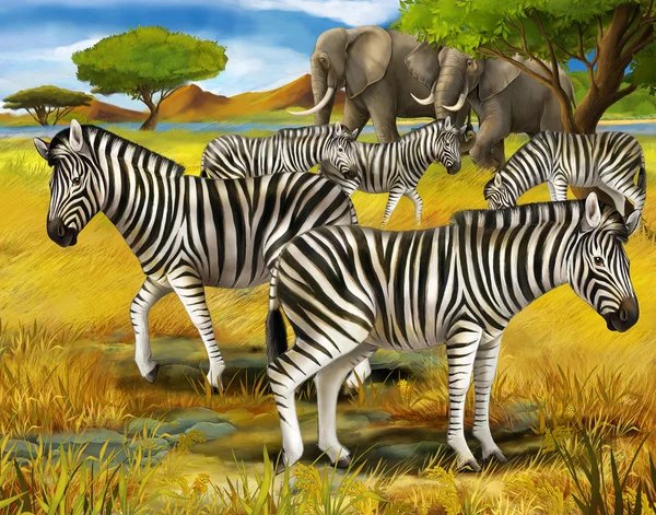 Safari - zebras and elephants - illustration for the children