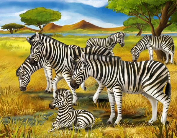 Çocuklar için Safari - Zebra - illüstrasyon — Stok fotoğraf