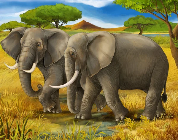 Safari - elephants - illustration for the children — Stock Photo, Image