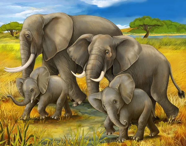 Safari - elephants - illustration for the children — Stock Photo, Image