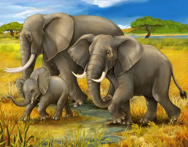 Safari - sloni - ilustrace pro děti — Stock fotografie