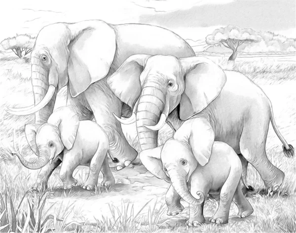 Safari-大象-着色页插图的儿童 — 图库照片