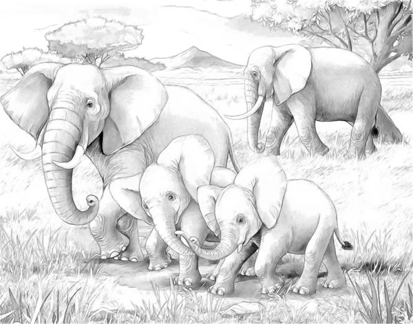 Safari - elefantes - página para colorear - ilustración para los niños —  Fotos de Stock