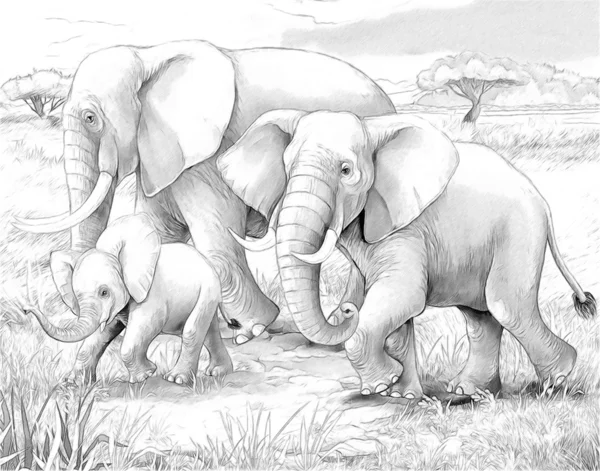 Safari - elephants - coloring page- illustration for the children — Stock Photo, Image